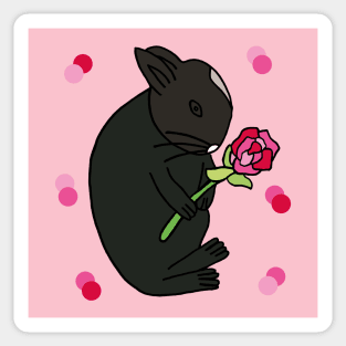 Black Bunny With Pink Rose Sticker